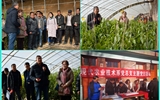 現(xiàn)代農(nóng)業(yè)技術系開展“喜迎己亥新春佳節(jié)、送科技送文化下鄉(xiāng)”主題黨日活動