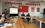 電子信息工程系黨總支開展“重溫入黨誓詞，牢記入黨初心”主題黨日活動(dòng)
